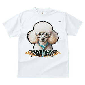 TVc fB[X t@  t  vg JWA 킢 lԗp tBbglX _X Kl v[h lN^C