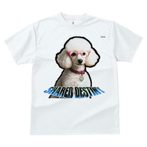 TVc fB[X t@  t  vg JWA 킢 lԗp tBbglX _X Kl v[h n[g̃lbNX