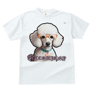 TVc fB[X t@  t  vg JWA 킢 lԗp tBbglX _X Kl v[h   JWA