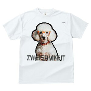 TVc Y LbY t@  t  vg JWA 킢 lԗp tBbglX _X Kl v[h  