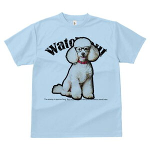 TVc Y LbY t@  t  vg JWA 킢 lԗp tBbglX _X Kl v[h Ԃ ӊN