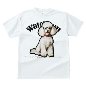 TVc fB[X t@  t  vg JWA 킢 lԗp tBbglX _X Kl v[h Ԃ ӊN