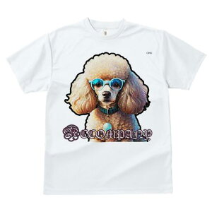 TVc Y LbY t@  t  vg JWA 킢 lԗp tBbglX _X Kl v[h y_g t@V[