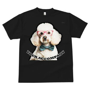 TVc fB[X t@  t  vg JWA 킢 lԗp tBbglX _X sN̊ዾ v[h lN^C eLXg