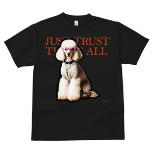 TVc fB[X t@  t  vg JWA 킢 lԗp tBbglX _X Kl v[h m