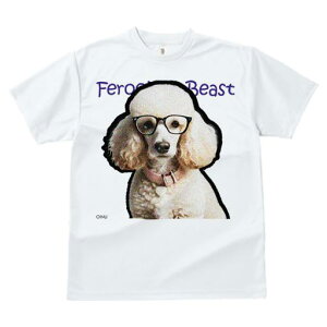 TVc Y LbY t@  t  vg JWA 킢 lԗp tBbglX _X Kl v[h ʔ ybg 