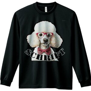 TVc lԗp Y Ht vg W[ AEghA JWA 킢 t@ Kl v[h { 