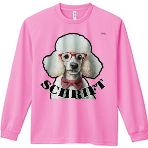 TVc lԗp Y Ht vg W[ AEghA JWA 킢 t@ Kl v[h { 