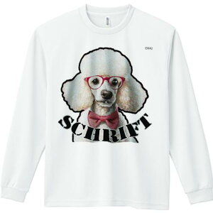 TVc lԗp Y Ht vg W[ AEghA JWA 킢 t@ Kl v[h { 