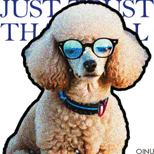 TOX v[h ዾ NbVJo[ 45×45cm Aj}   NbV{̕t ` t@