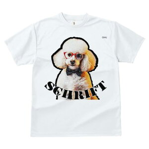 TVc fB[X t@  t  vg JWA 킢 lԗp tBbglX _X Kl v[h lN^C