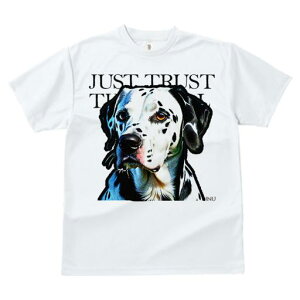 T�V���c ���f�B�[�X ���t�@�� ���� �t�� ���� �v�����g �J�W���A�� ���킢�� �l�ԗp �t�B�b�g�l�X �_���X JUST �_�����V�A�� TRUST THE ����