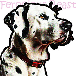  _VA ƍ̖ѕ NbVJo[ 45×45cm Aj}   NbV{̕t ` t@