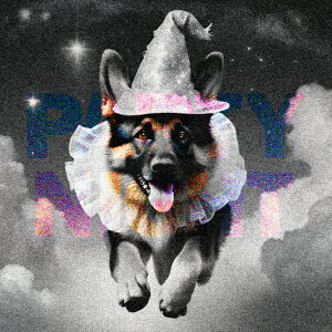 Xq W[}VFp[h _ p[eB[ NbVJo[ 45×45cm Aj}   NbV{̕t ` t@