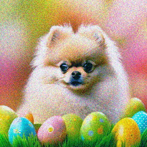 Jt |jA C[X^[  ΂̑ NbVJo[ 45×45cm Aj}   NbV{̕t ` t@