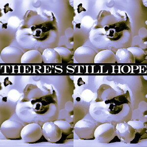 ] |jA ʂ 炵 邢C NbVJo[ 45×45cm Aj}   NbV{̕t ` t@