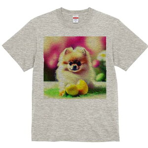 TVc Y LbY t@  t  vg JWA 킢 lԗp tBbglX _X sN̔wi |jA  ΂̗t