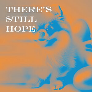 ��] �|�����j�A�� ���`�x�[�V���� ���� �g���X�g �N�b�V�����J�o�[ 45×45cm �A�j�}���� ������� ���� �N�b�V�����{�̕t�� �����` ���t�@��