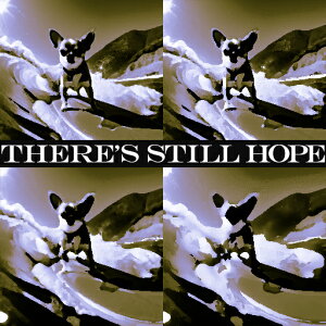 �T�[�t�B�� �`���� �g ���l ��] �N�b�V�����J�o�[ 45×45cm �A�j�}���� ������� ���� �N�b�V�����{�̕t�� �����` ���t�@��