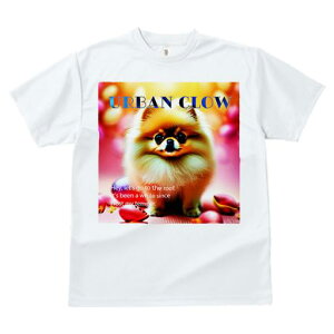 TVc fB[X t@  t  vg JWA 킢 lԗp tBbglX _X  |jA ss Jt A[g