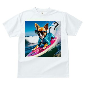 TVc fB[X t@  t  vg JWA 킢 lԗp tBbglX _X T[tB ` TOX EFbgX[c g