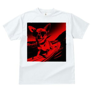 TVc fB[X t@  t  vg JWA 킢 lԗp tBbglX _X TOX ` T[t{[h g C