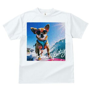 TVc fB[X t@  t  vg JWA 킢 lԗp tBbglX _X TOX ` T[tB g