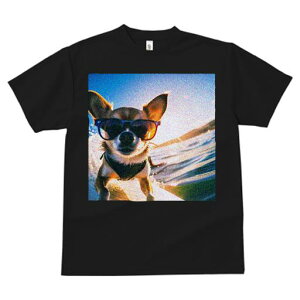 TVc fB[X t@  t  vg JWA 킢 lԗp tBbglX _X TOX ` T[tB g r[`