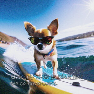 TOX ` T[t{[h g NbVJo[ 45×45cm Aj}   NbV{̕t ` t@