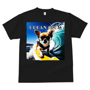 TVc fB[X t@  t  vg JWA 킢 lԗp tBbglX _X TOX ` T[t{[h g C