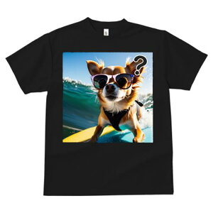 TVc fB[X t@  t  vg JWA 킢 lԗp tBbglX _X TOX ` T[tB C phO