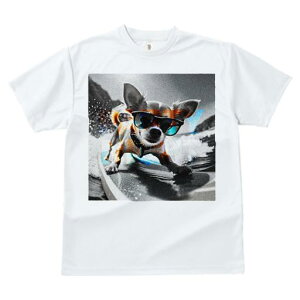 TVc Y LbY t@  t  vg JWA 킢 lԗp tBbglX _X TOX ` T[tB r[`