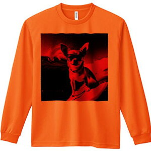 TVc lԗp Y Ht vg W[ AEghA JWA 킢 t@ TOX ` T[tB g