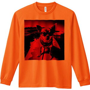 TVc lԗp Y Ht vg W[ AEghA JWA 킢 t@ T[t{[h ` ዾ g T[tB 