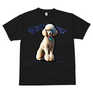 TVc fB[X t@  t  vg JWA 킢 lԗp tBbglX _X Kl v[h l[^O