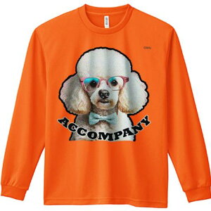 TVc lԗp Y Ht vg W[ AEghA JWA 킢 t@ ዾ v[h lN^C ACCOMPANY