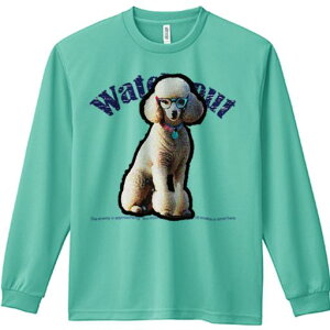 TVc lԗp Y Ht vg W[ AEghA JWA 킢 t@ Kl v[h l[^O