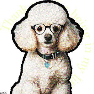 ዾ v[h  n[g NbVJo[ 45×45cm Aj}   NbV{̕t ` t@