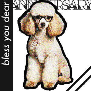 Kl v[h NbVJo[ 45×45cm Aj}   NbV{̕t ` t@