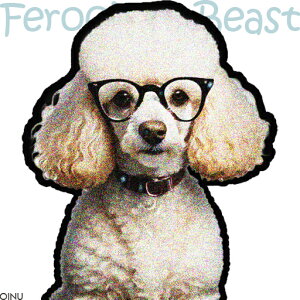 ዾ v[h NbVJo[ 45×45cm Aj}   NbV{̕t ` t@