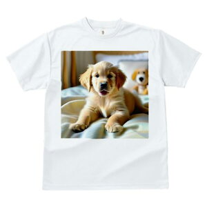 TVc fB[X t@  t  vg JWA 킢 lԗp tBbglX _X ʂ S[fgo[ xbh uPbg J[e