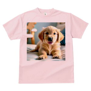 TVc Y LbY t@  t  vg JWA 킢 lԗp tBbglX _X xbh S[fgo[ ֎q 