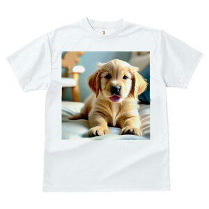 TVc fB[X t@  t  vg JWA 킢 lԗp tBbglX _X xbh S[fgo[ ֎q 