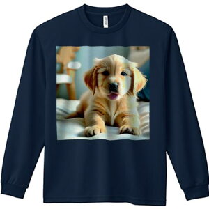 TVc lԗp Y Ht vg W[ AEghA JWA 킢 t@ xbh S[fgo[ ֎q 