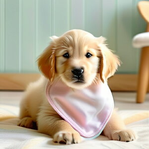 ���킢�� �S�[���f�����g���o�[ �q�� ���� �_�炩�� �b���F�̃l�b�N���X �N�b�V�����J�o�[ 45×45cm �A�j�}���� ������� ���� �N�b�V�����{�̕t�� �����` ���t�@��