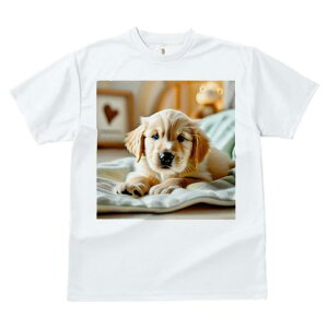 TVc fB[X t@  t  vg JWA 킢 lԗp tBbglX _X xbh S[fgo[ NbV ʂ Jڐ