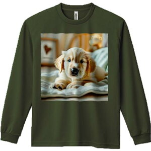 TVc lԗp Y Ht vg W[ AEghA JWA 킢 t@ xbh S[fgo[ NbV ʂ Jڐ