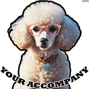 Kl v[h  n[g̃y_g NbVJo[ 45×45cm Aj}   NbV{̕t ` t@