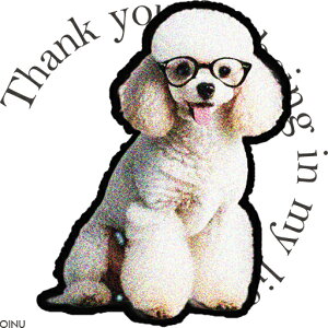 Kl v[h NbVJo[ 45×45cm Aj}   NbV{̕t ` t@