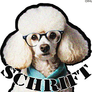 Kl v[h XJ[t NbVJo[ 45×45cm Aj}   NbV{̕t ` t@